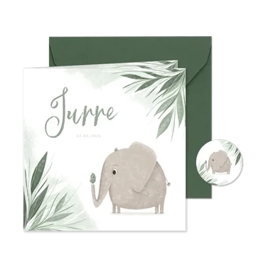 Geboortekaartje olifant vogel en jungleblaadjes in het fries